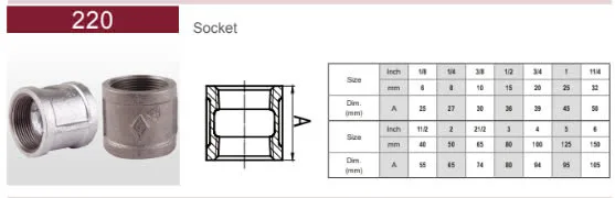 Socket (standard)