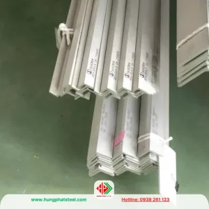 v20X20 inox