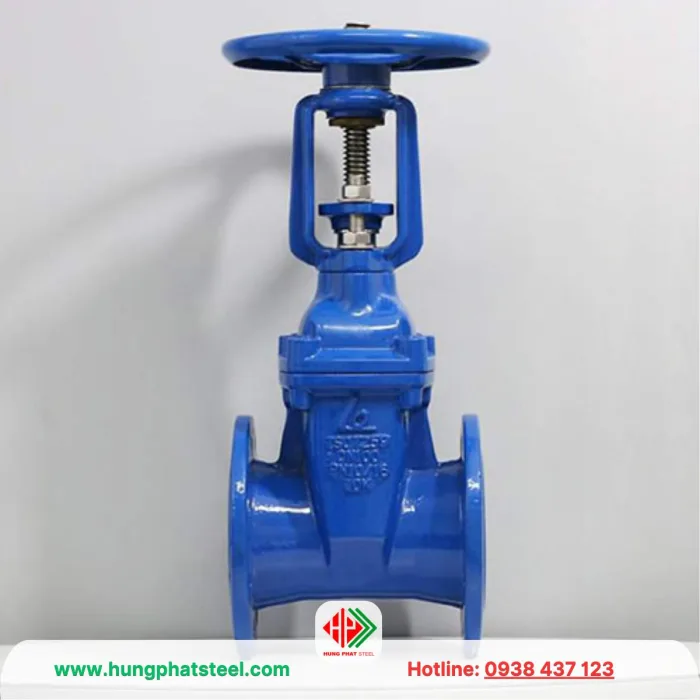 Van cổng ty nổi bọc cao su PN10/16 - Hình ảnh 3