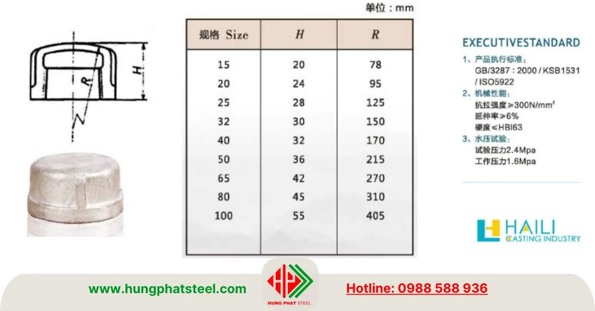 Nắp bịt ren mạ kẽm Shanxi Haili