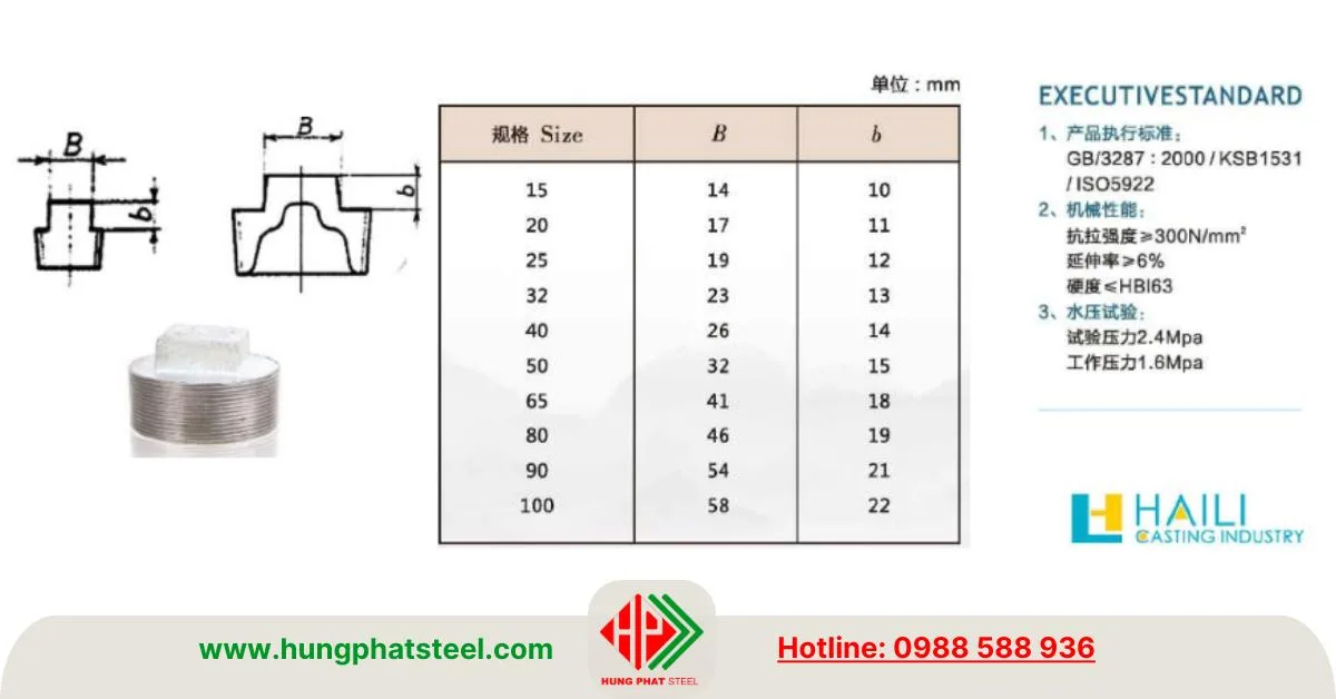 Nút bịt ren mạ kẽm Shanxi Haili