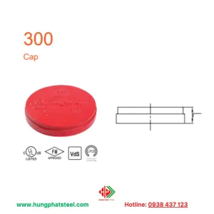 Nắp bịt 300