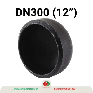 Chén hàn DN300 (D325, 12inch)