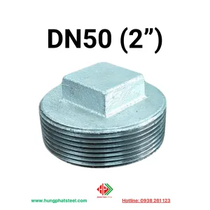 Nút bịt ren DN50 (D60)