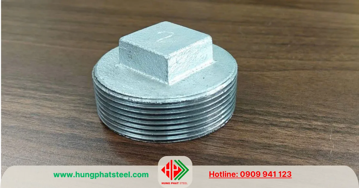 Nút bịt ren DN50 (D60)