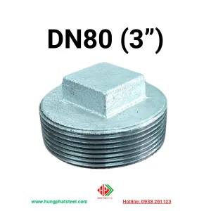 Nút bịt ren DN80 (D90)