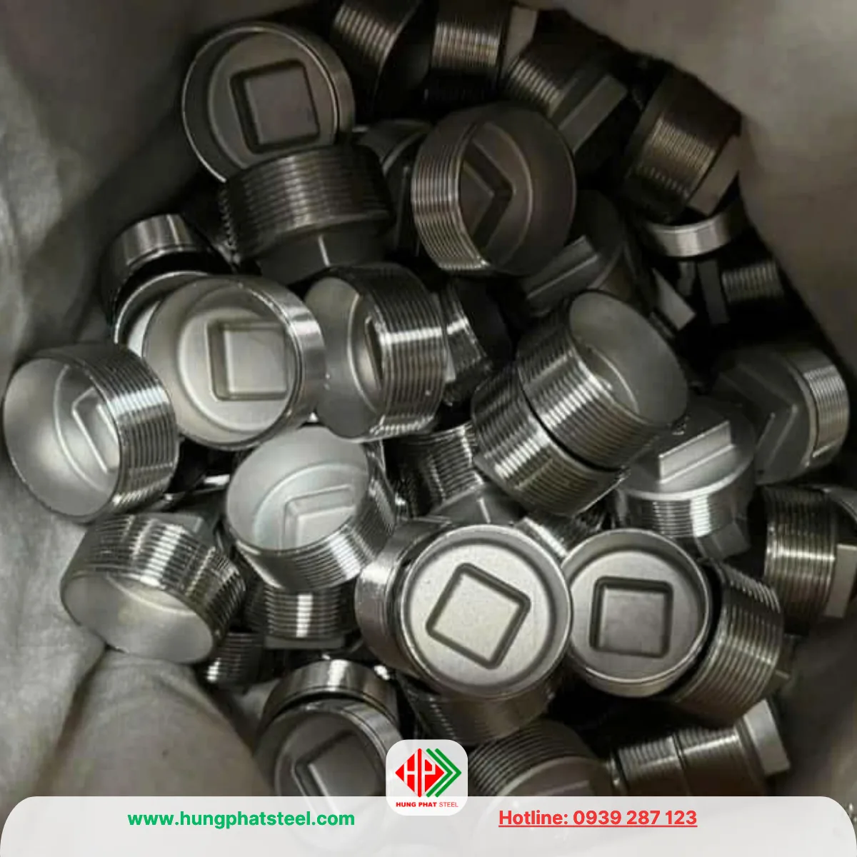 Nút bịt ren INOX DN50 (D60)