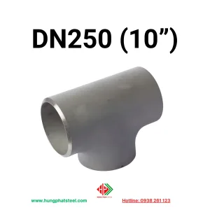 Tê hàn inox DN250 (D273)